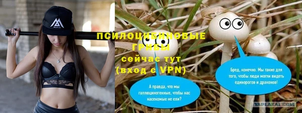 бутират Верхний Тагил