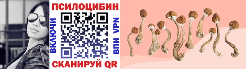 Купить закладки  Слободской  Псилоцибиновые грибы ЛСД 